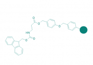 Fmoc-beta-Ala-Wang Harz (1% DVB; 100-200 mesh; 0,3-0,8 mmol/g)