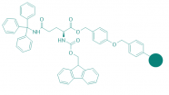 Fmoc-Gln(Trt)-Wang Harz (1% DVB; 100-200 mesh; 0,3-0,8 mmol/g)