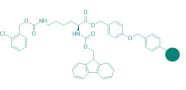 Fmoc-Lys(2-Cl-Z)-Wang Harz (1% DVB; 100-200 mesh; 0,3-0,8 mmol/g)