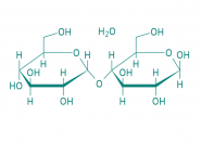 D-(+)-Maltose Monohydrat, 93% 