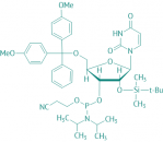 DMT-2'O-TBDMS-rU Phosphoramidit, 98% 