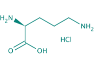 L-Ornithin HCl, 98% 