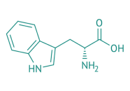 D-Tryptophan, 97% 