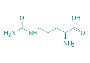 L-Citrullin, 98% 