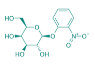 2-Nitrophenyl-beta-D-galactopyranosid, 97% 